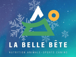 Course SATC en neige